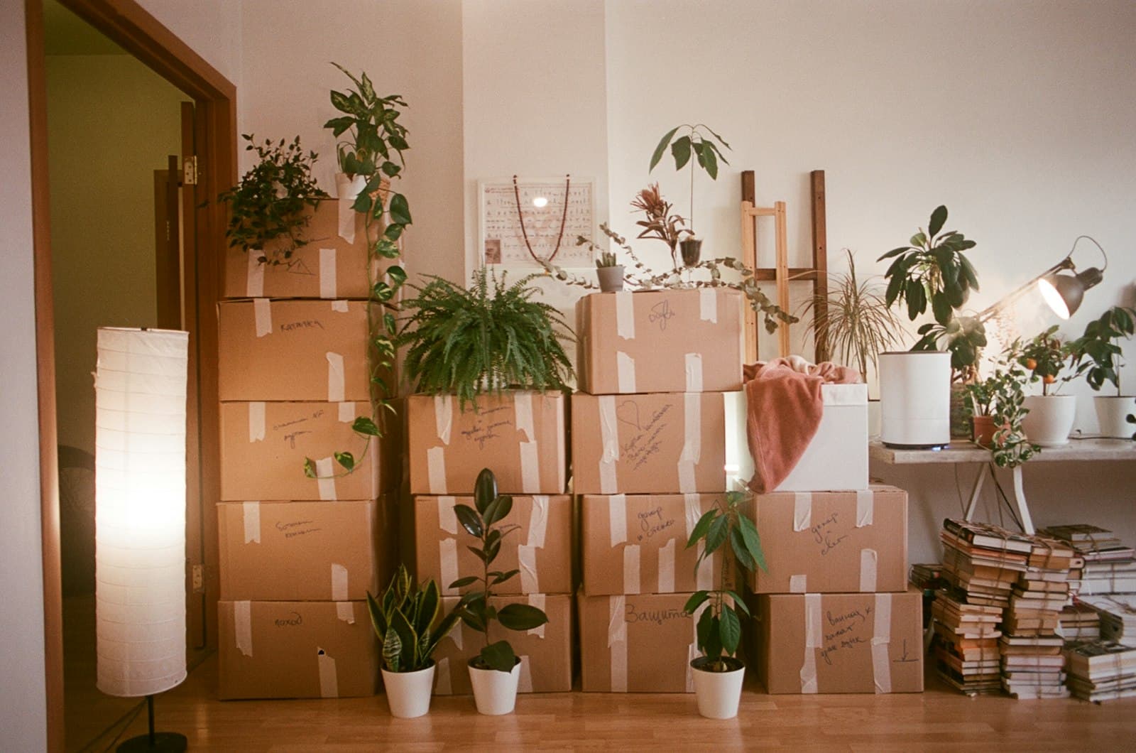 EasyMove Elite — Premium Moving